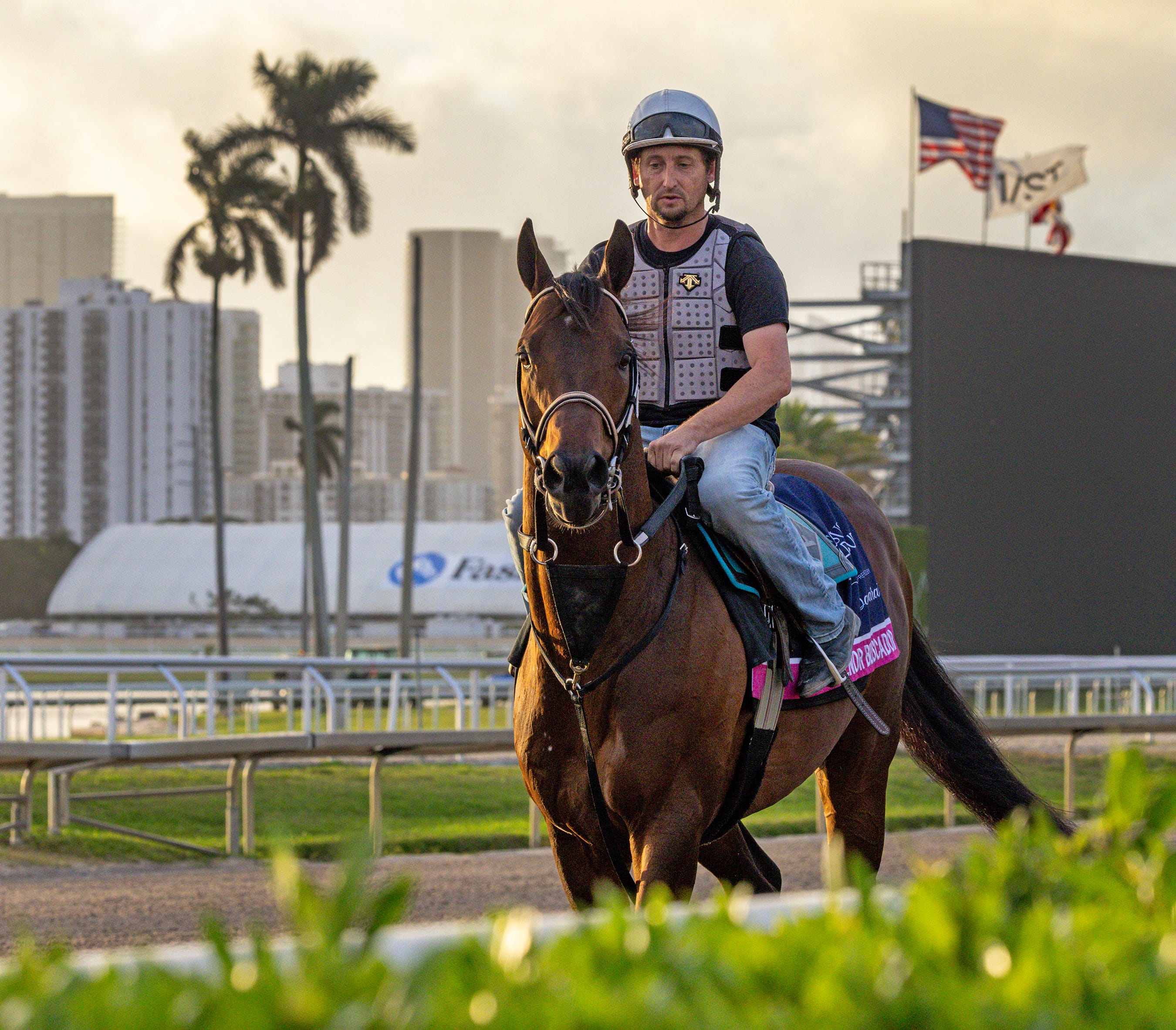 Senor Buscador possible to return in San Diego Handicap